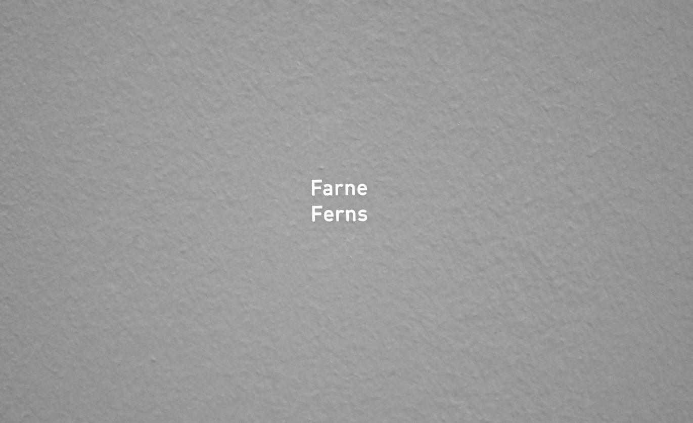 Karl Blossfeldt (1927–1928), Ohne Titel (Arbeitscollagen) - Farne, München, Pinakothek der Moderne, Saal 27 2022, vor 1928, Bild 2/3