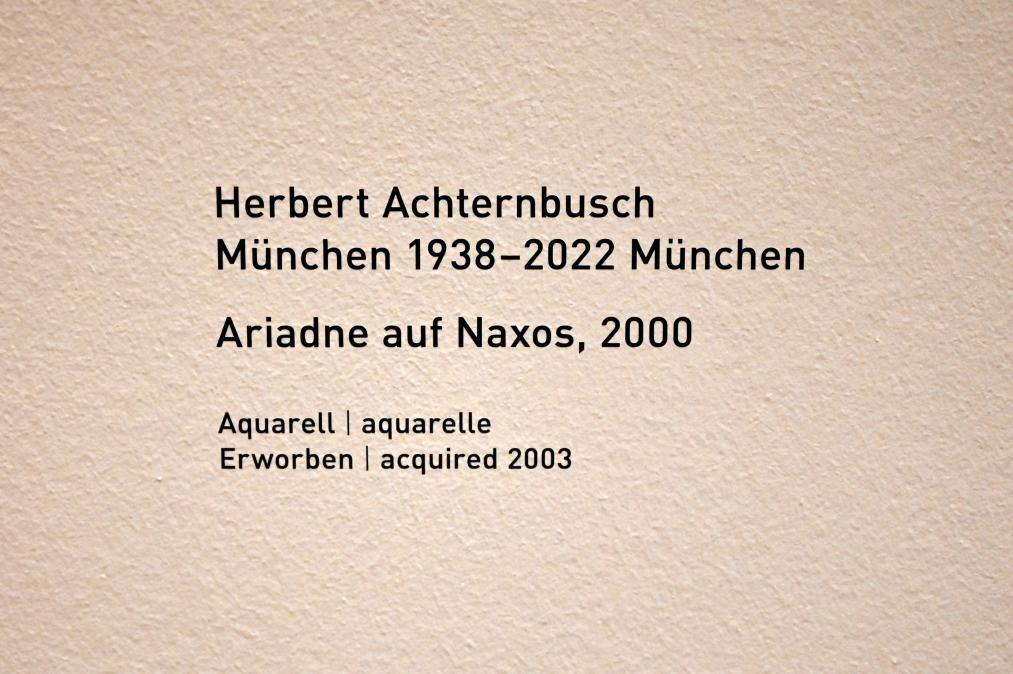 Herbert Achternbusch (2000), Ariadne auf Naxos, München, Pinakothek der Moderne, Saal 14 2022, 2000, Bild 2/2