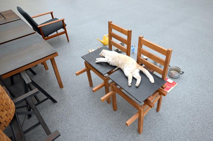 Mark Manders (2000), Stille Fabrik (Silent Factory), München, Pinakothek der Moderne, Saal 9 2022, 2000, Bild 5/7