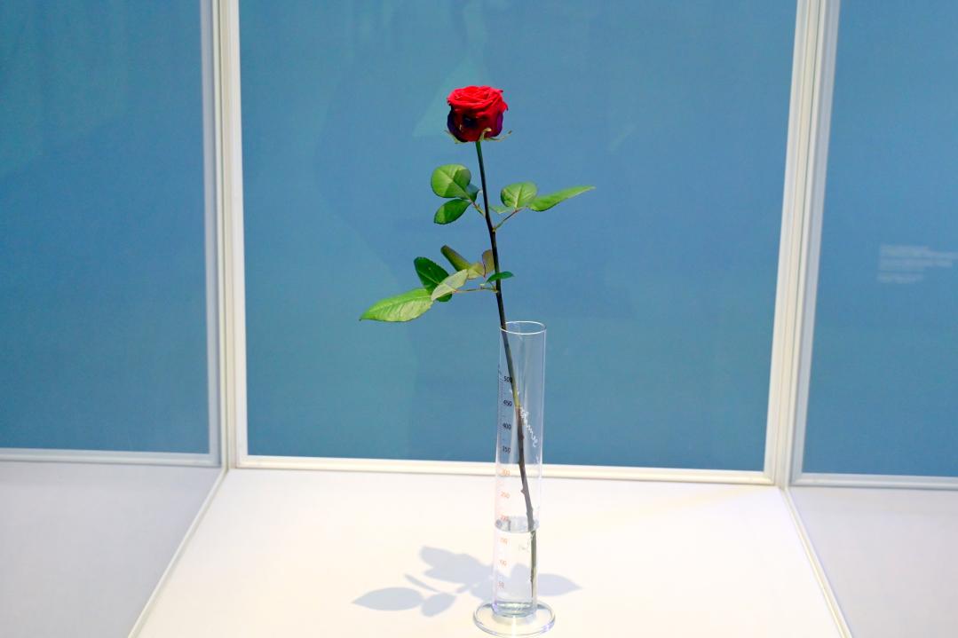 Joseph Beuys (1948–1985), Rose für direkte Demokratie, München, Pinakothek der Moderne, Saal 11 2022, 1973
