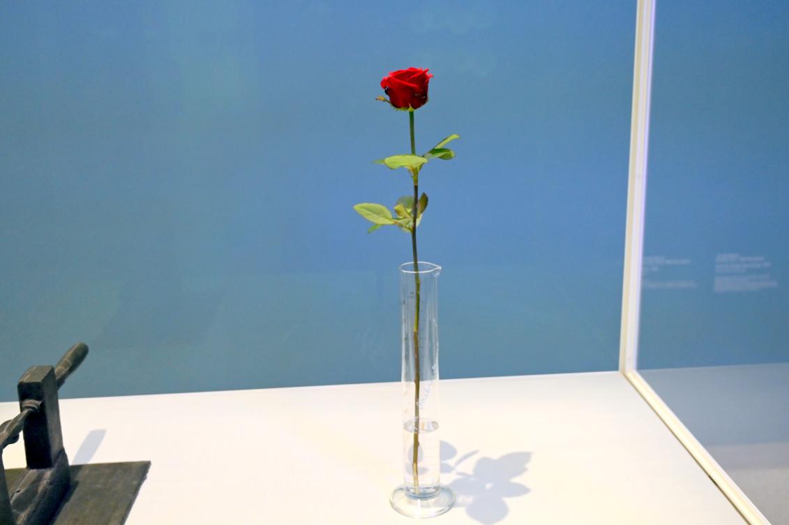 Joseph Beuys (1948–1985), Rose für direkte Demokratie, München, Pinakothek der Moderne, Saal 11 2022, 1973, Bild 2/5