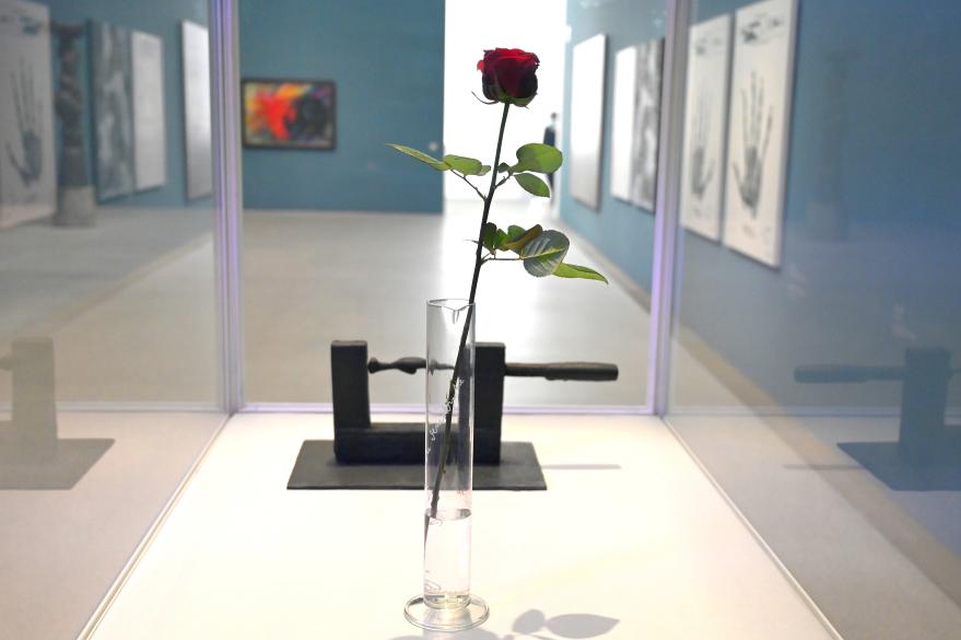 Joseph Beuys (1948–1985), Rose für direkte Demokratie, München, Pinakothek der Moderne, Saal 11 2022, 1973, Bild 4/5