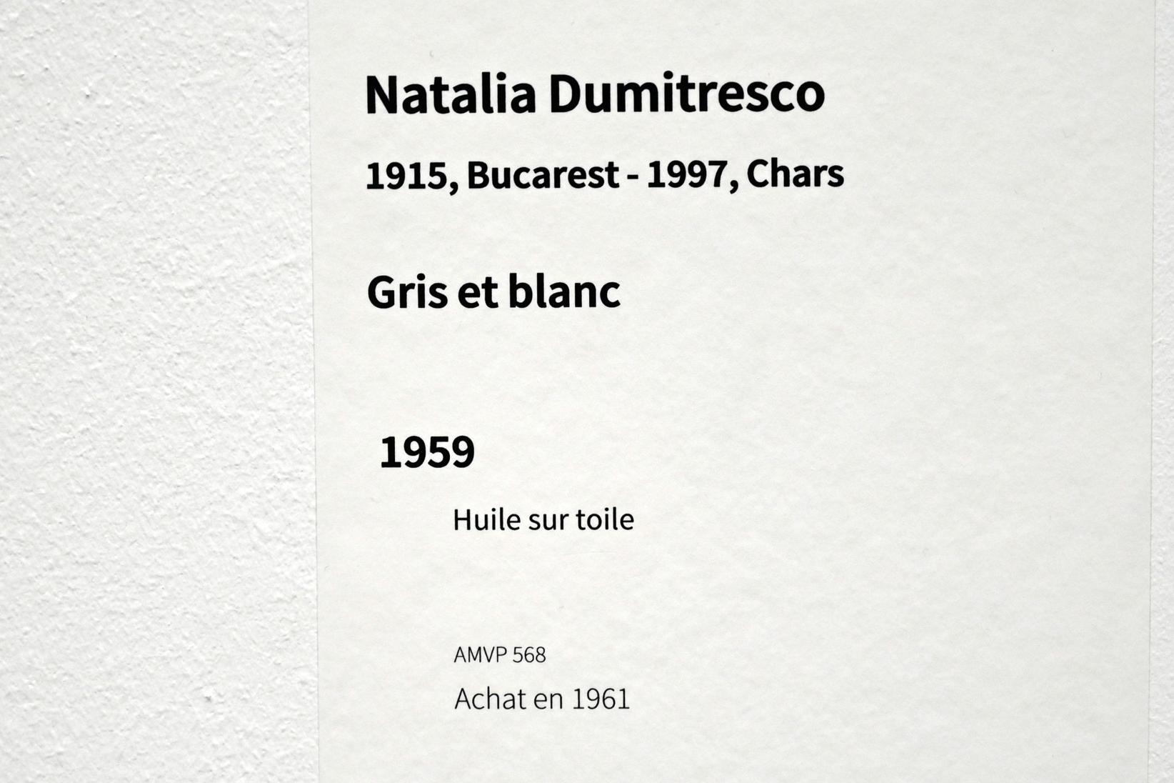 Natalia Dumitresco (1959), Grau und weiß, Paris, Musée d’art moderne de la Ville de Paris, Saal 7, 1959, Bild 2/2