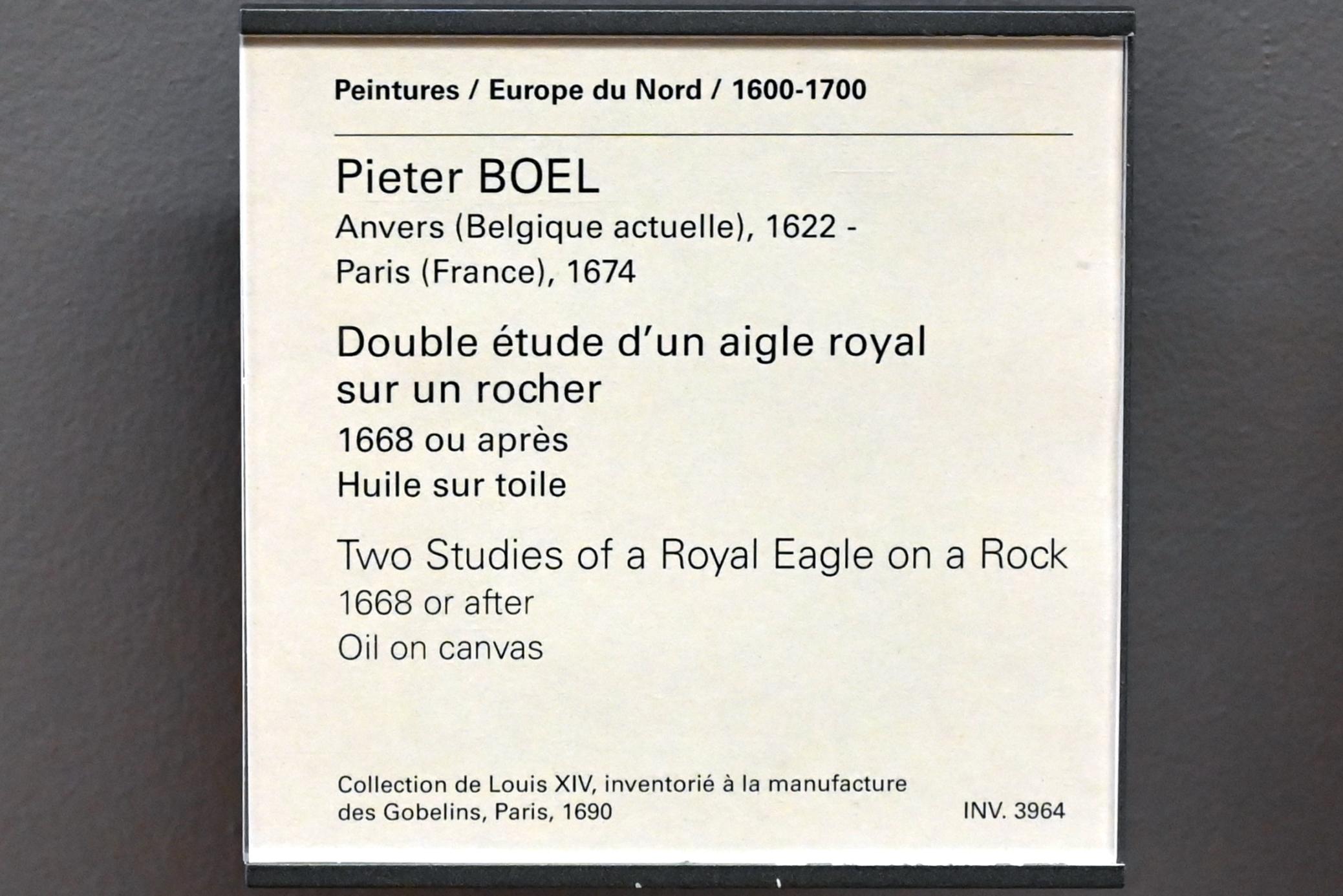 Pieter Boel (1659–1669), Zwei Steinadler-Studien auf einem Felsen, Paris, Musée du Louvre, Saal 802, nach 1668, Bild 2/2