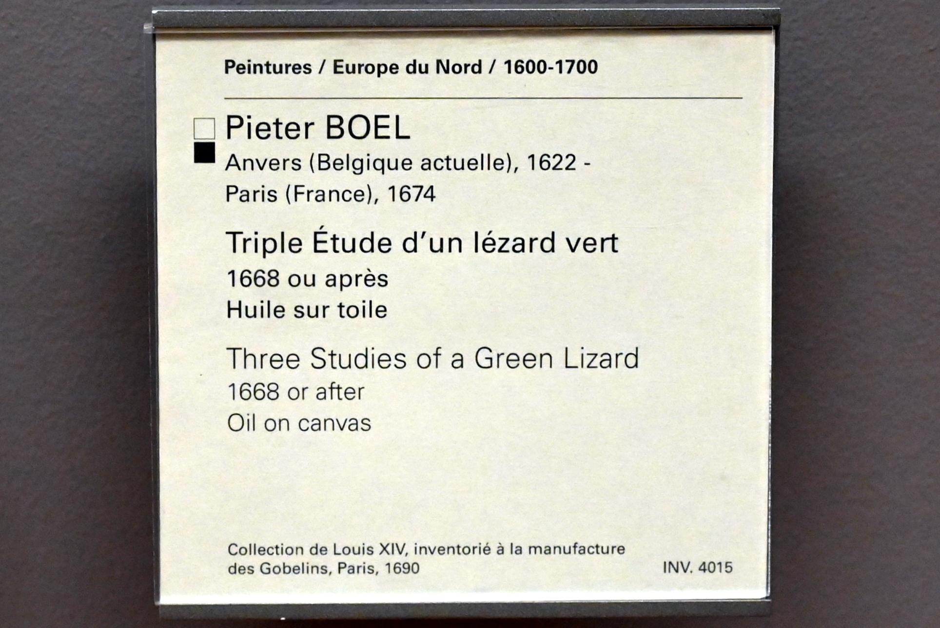 Pieter Boel (1659–1669), Drei Studien einer grünen Eidechse, Paris, Musée du Louvre, Saal 802, nach 1668, Bild 2/2