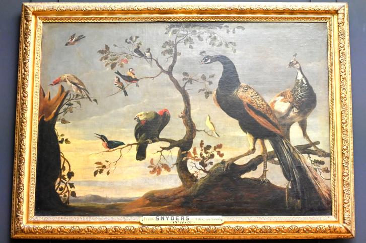 Frans Snyders (1610–1650), Versammlung von Vögeln auf Ästen, Paris, Musée du Louvre, Saal 855, um 1630