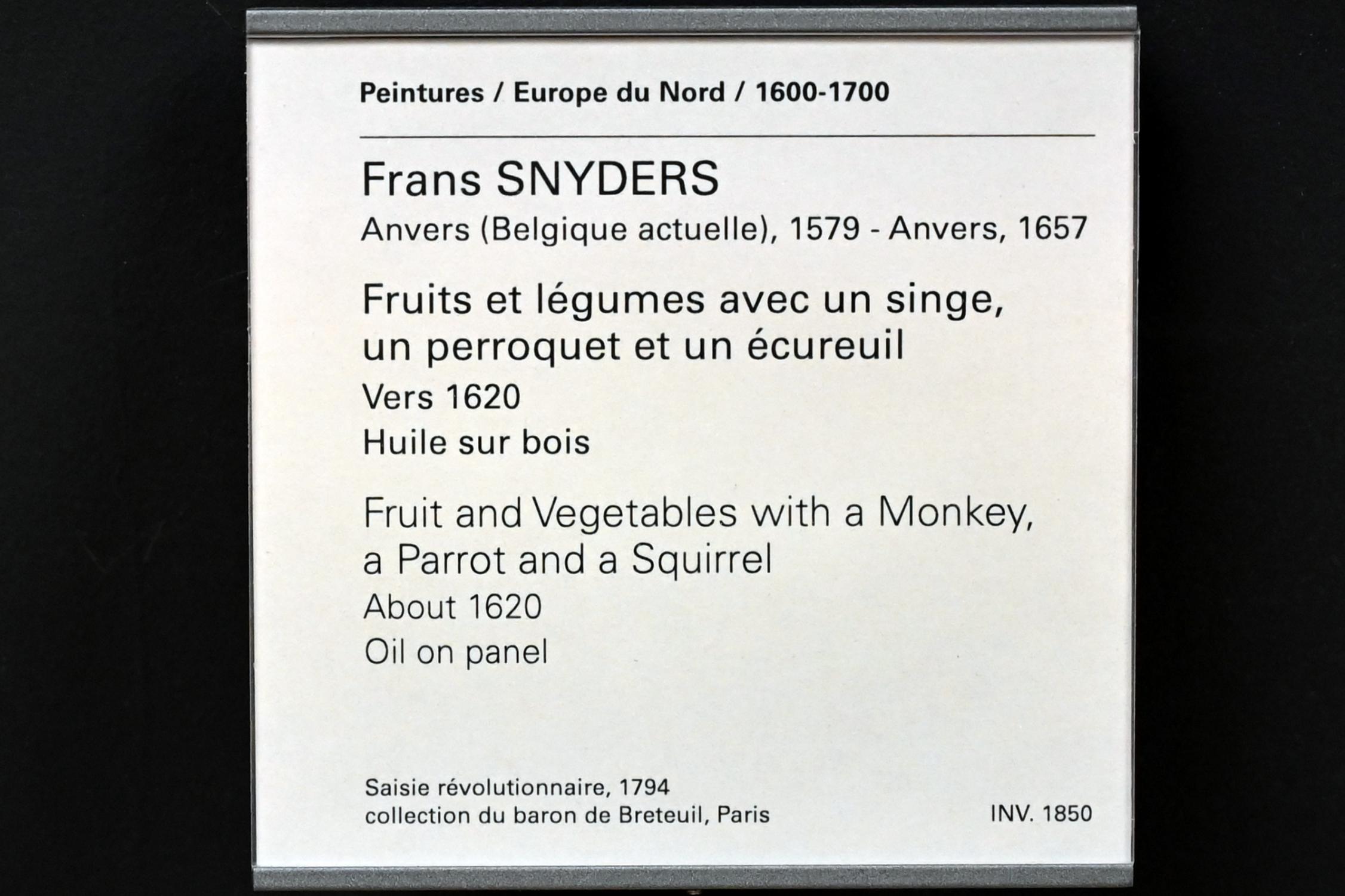 Frans Snyders (1610–1650), Früchtestillleben mit Affe, Papagei und Eichhörnchen, Paris, Musée du Louvre, Saal 850, um 1620, Bild 2/2