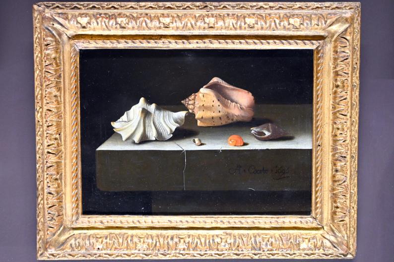 Adriaen Coorte (1696–1704), Fünf Muscheln auf einer Steinplatte, Paris, Musée du Louvre, Saal 842, 1696