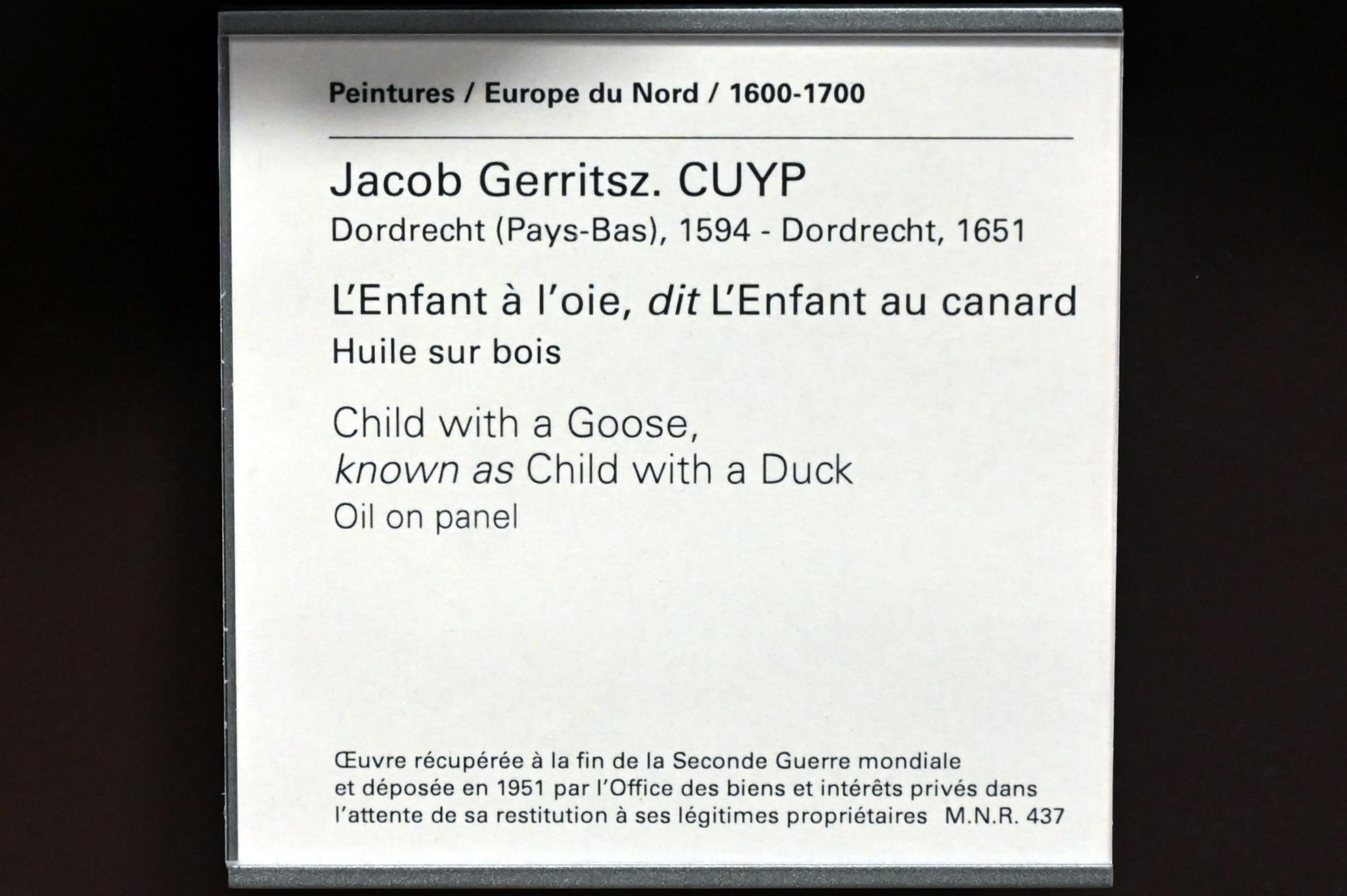 Jacob Gerritsz. Cuyp (1638), Junge mit einer Gans, Paris, Musée du Louvre, Saal 841, Undatiert, Bild 2/2