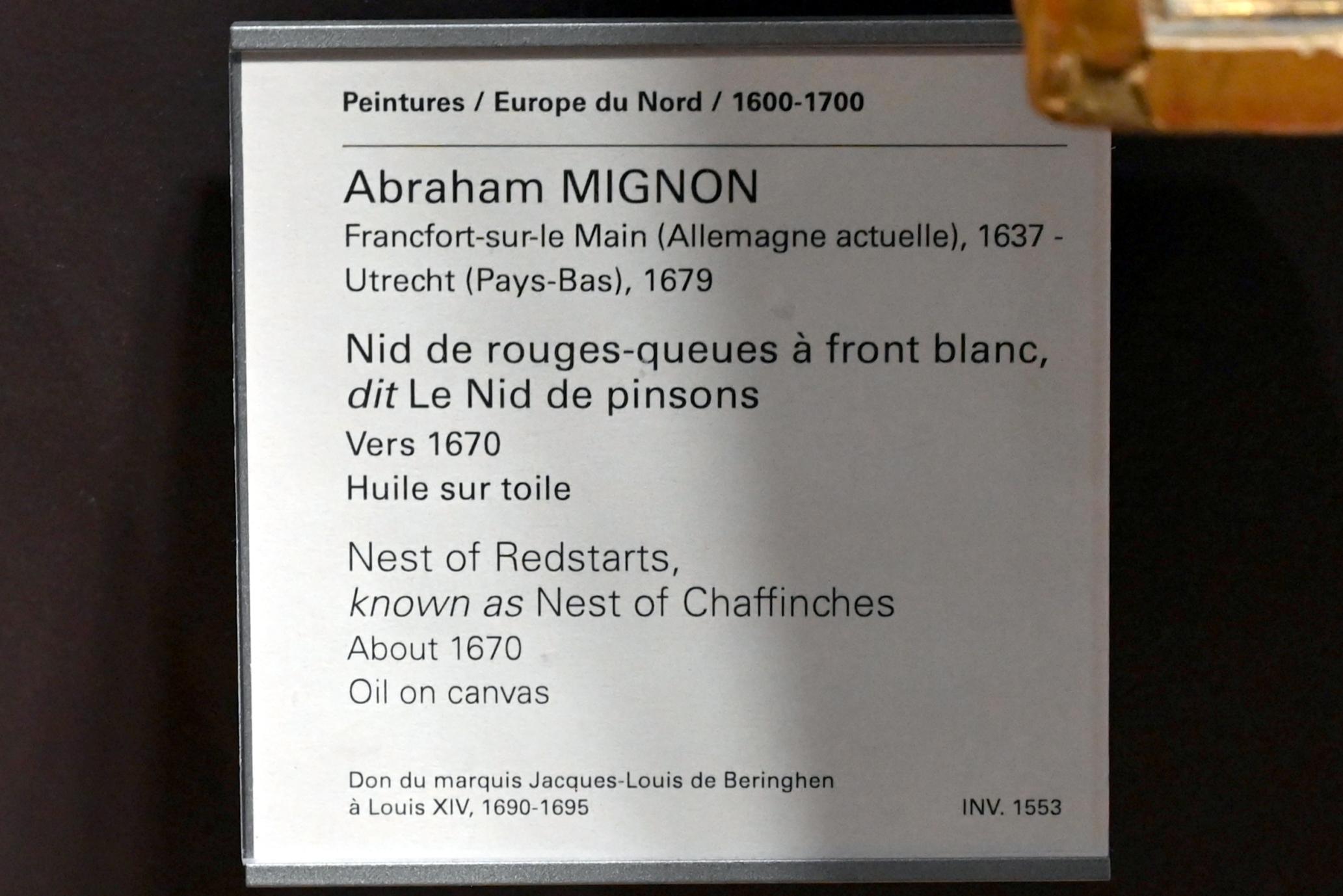 Abraham Mignon (1661–1675), Rotschwänzchennest, Paris, Musée du Louvre, Saal 840, um 1670, Bild 2/2