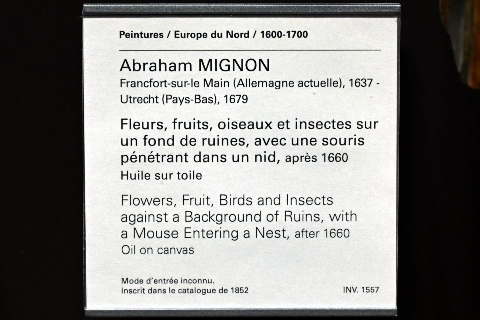 Abraham Mignon (1661–1675), Blumen, Früchte, Vögel und Insekten in einer Ruinenlandschaft, mit einer Maus, die ein Nest betritt, Paris, Musée du Louvre, Saal 840, nach 1660, Bild 2/2