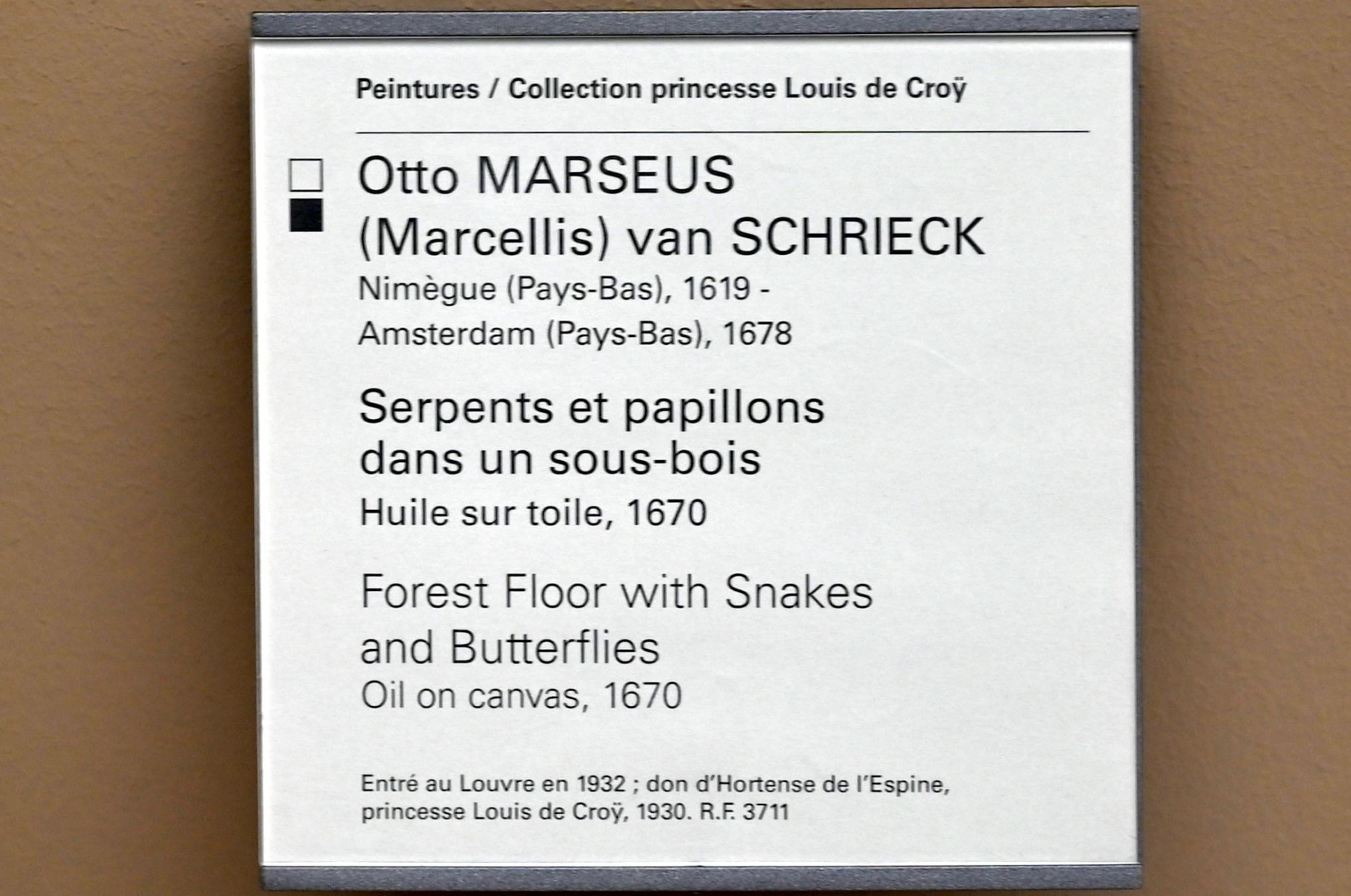 Otto Marseus van Schrieck (1650–1670), Schlangen und Schmetterlinge im Unterholz, Paris, Musée du Louvre, Saal 902, 1670, Bild 2/2