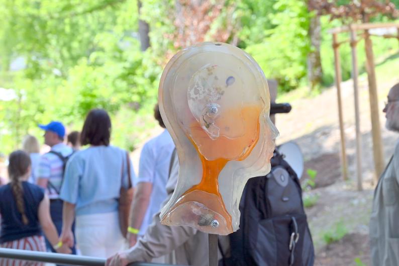 Eva Kühberger (Undatiert), Recht auf Privatsphäre, Artikel 12, Freyung, Pfad der Menschenrechte, Undatiert, Bild 5/6