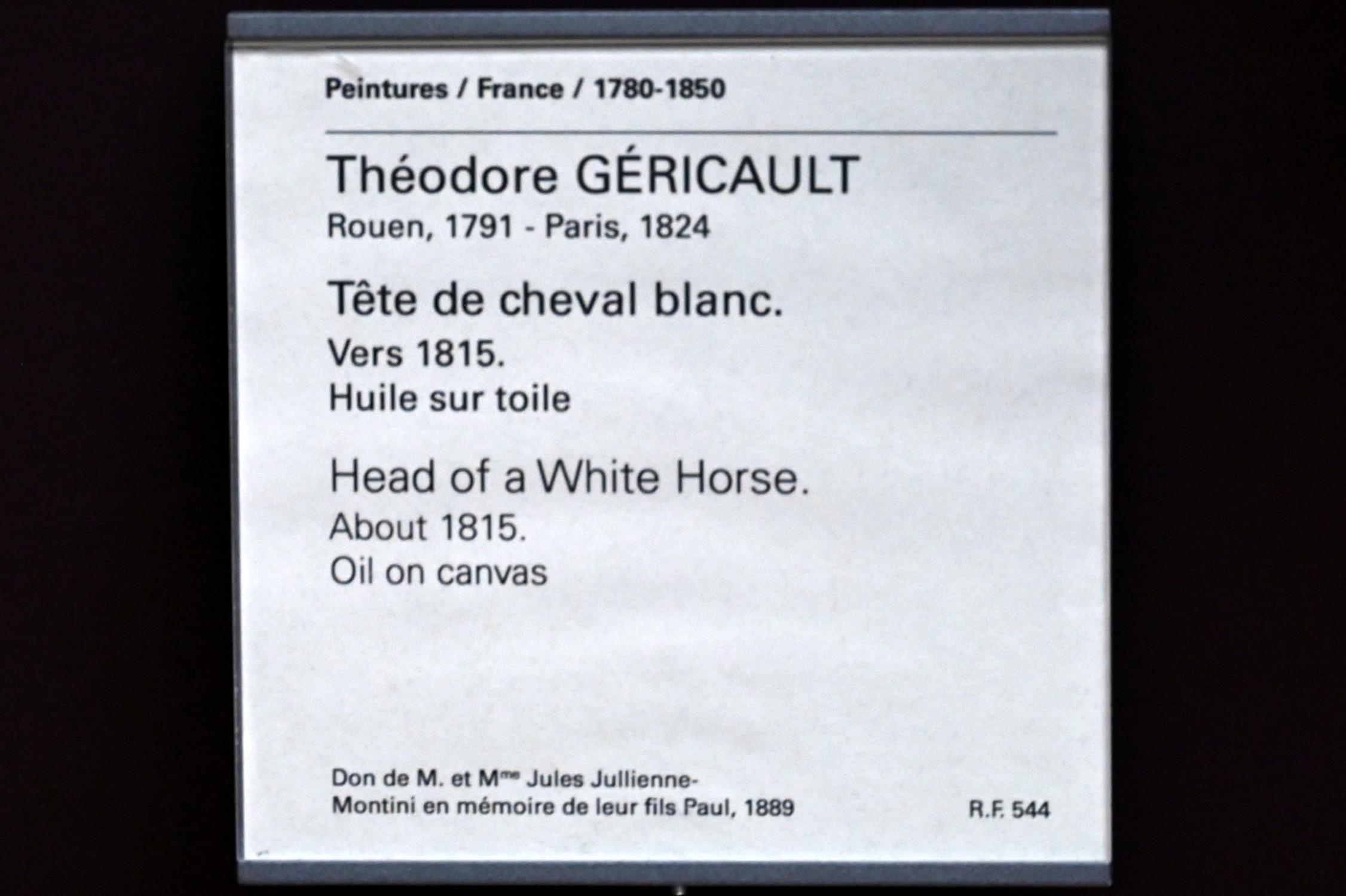 Théodore Géricault (1811–1822), Kopf eines Schimmels, Paris, Musée du Louvre, Saal 941, um 1815, Bild 2/2