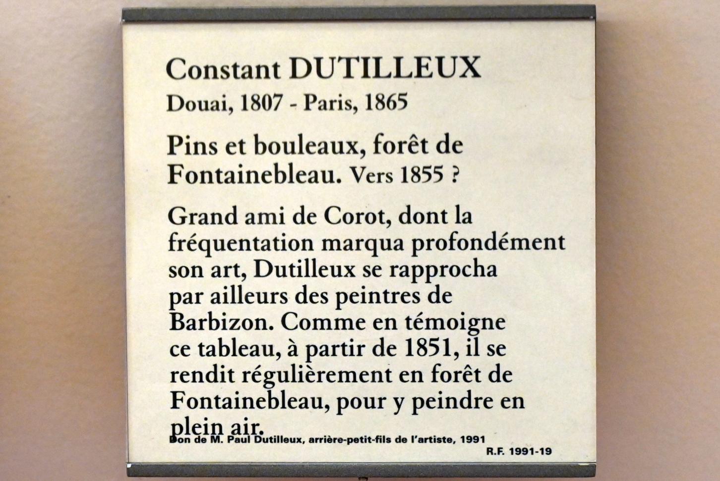 Constant Dutilleux (1855), Kiefern und Birken im Wald von Fontainebleau, Paris, Musée du Louvre, Saal 948, um 1855, Bild 2/2