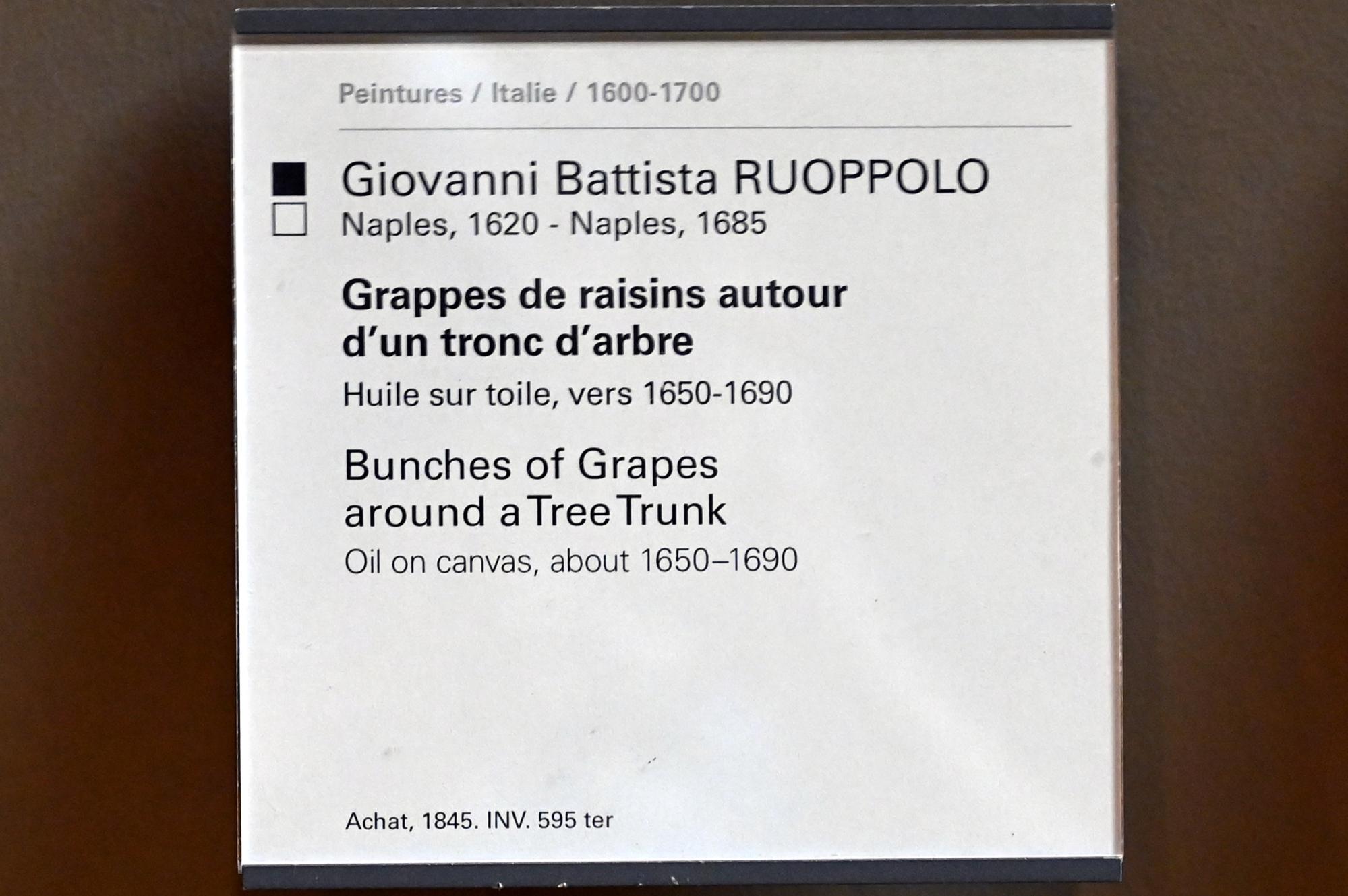 Giovanni Battista Ruoppolo (1670), Weintrauben um einen Baumstamm, Paris, Musée du Louvre, Saal 718, um 1650–1690, Bild 2/2