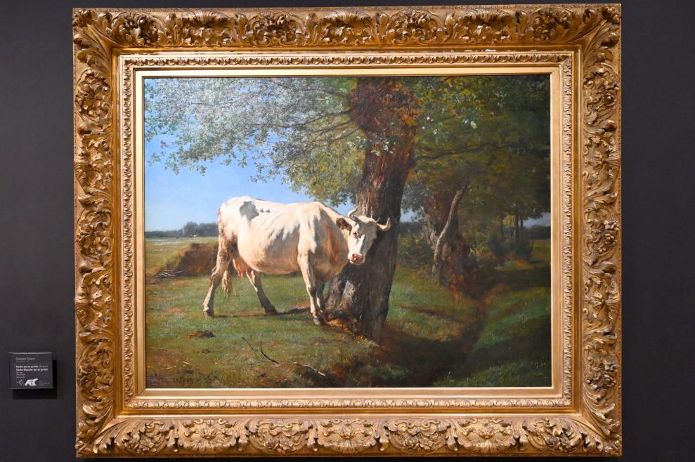 Constant Troyon (1845–1858), Scheuernde Kuh (Scheuernde weiße Kuh), Paris, Musée d’Orsay, vor 1859